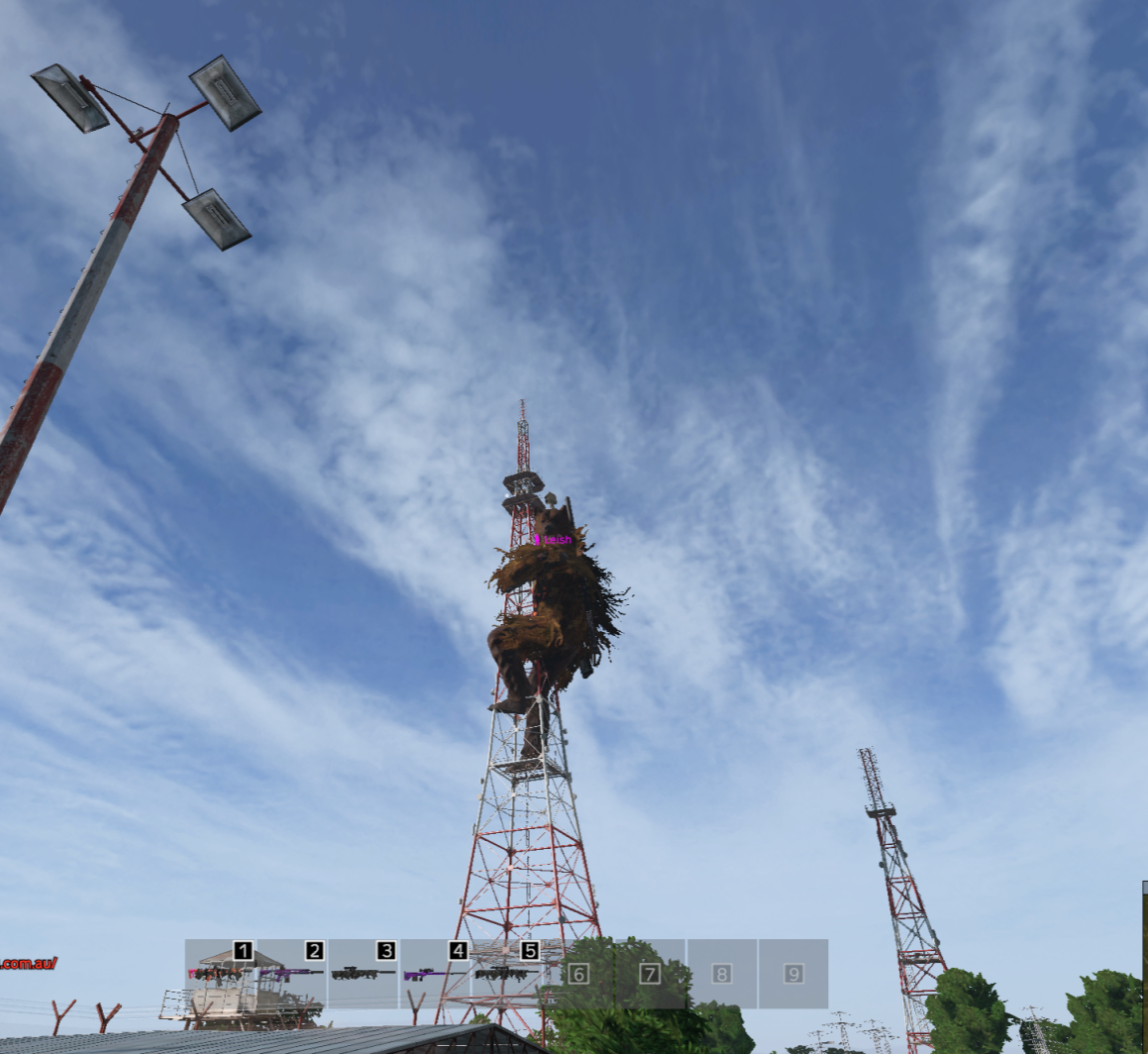 Leish dressed as a bear on a radio tower in DayZ